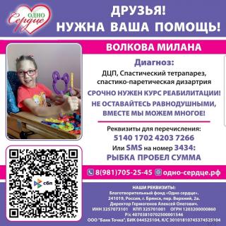 Акция 'Сбор для Миланы'